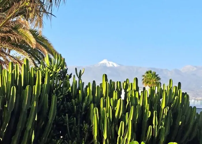 Διαμέρισμα Casa Leona